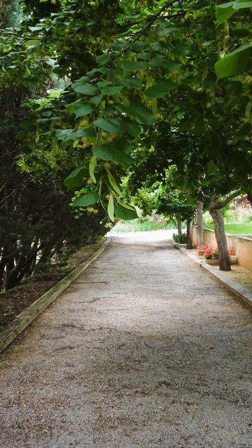 La Bastide Des Roses Bed and Breakfast Saint-Julien-d'Asse Εξωτερικό φωτογραφία