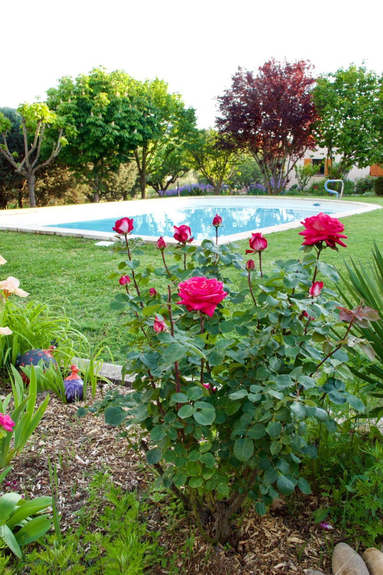 La Bastide Des Roses Bed and Breakfast Saint-Julien-d'Asse Εξωτερικό φωτογραφία