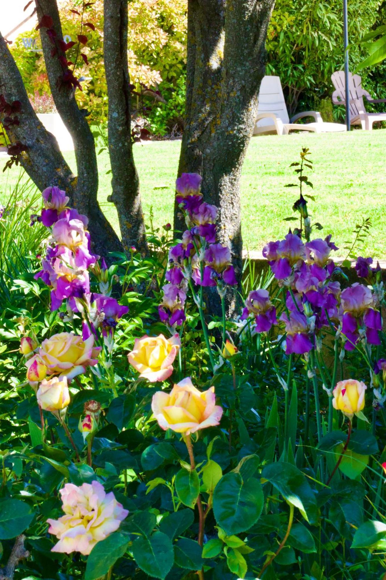 La Bastide Des Roses Bed and Breakfast Saint-Julien-d'Asse Εξωτερικό φωτογραφία